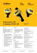 W1 *A Datasheet-1