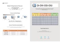 Metal O-Ring-1