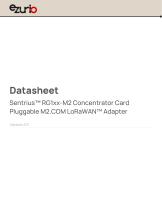 Sentrius™ RG1xx-M2 Concentrator Card Pluggable M2.COM LoRaWAN™ Adapter-1