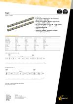 Rigid-1