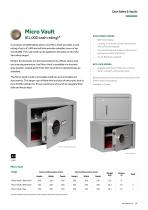 Cash Safes & Vaults-3