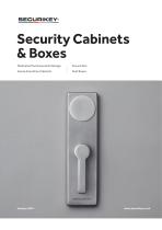 Security Cabinets & Boxes-1