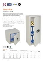 Security Cabinets & Boxes-4