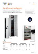 Security Cabinets & Boxes-5