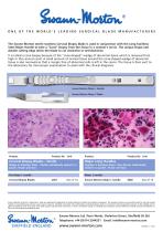 Cervical Cone  Biopsy-2