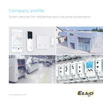 Company profile-1
