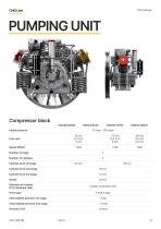 CNG Catalogue-11