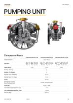 CNG Catalogue-19