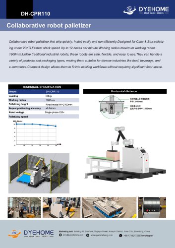           DYEHOME  Palletizer robotic DH-CPR110