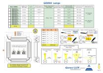 GEMX4-1