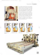 Fluidification bagging machine-4