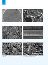 Field Emission SEM4000Pro-10
