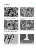 Field Emission SEM5000Pro-11