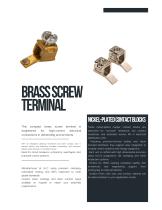 BRASS SCREW TERMINAL-1