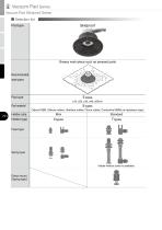 Skid proof pad - 2