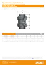 CV - ABS Spring check valves - 5