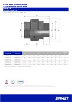 PVCu BSPP fittings - 9