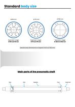 Double support pneumatic expanding shafts-3