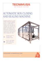 Automatic Box Closing and Sealing Machine - 1