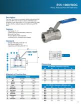 Econ Ball Valve - 17