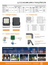 APOLLO Solar Flood Lights - 2