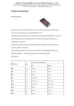 Catalog of Conveyor Belt-2