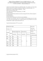 Catalog of Conveyor Belt-6