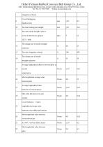 Catalog of Conveyor Belt-9