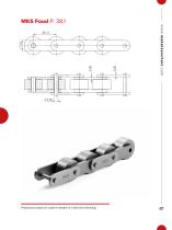 Chains for FOOD INDUSTRY - 4