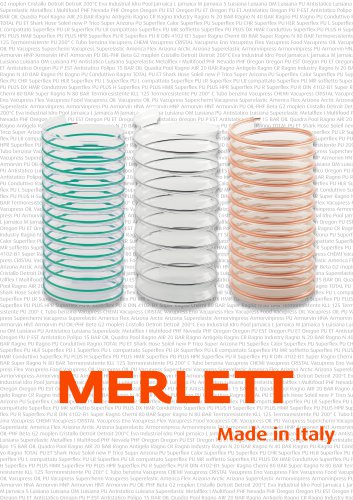 Enter the world of MERLETT