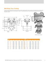 Mill Duty I-Beam Festoon - 4