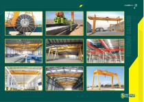 Electric Cranes-19