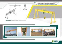 Electric Cranes-21