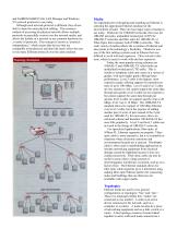 Ethernet Network Construct - 2