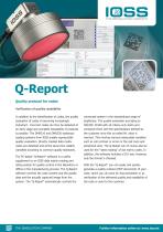 Q-Report-1