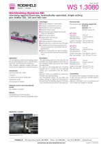 WS 1.3080-1