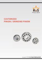 CUSTOMIZED PINION / GRINDING PINION-1