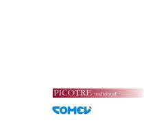 PICOTRE-1