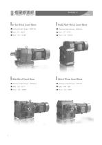 FS Helical Worm Reducer-4