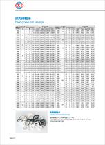 Full Ceramic Ball Bearing Types - Deep Groove Ball Bearing-2