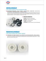 Full Ceramic Bearing of Full Complement Balls & Full Ceramic Bearing with Ceramic Retainer-1