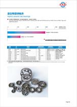 Hybrid Ceramic Ball Bearing-1