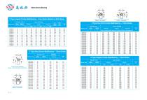 Metric Type Angular Contact Bearing-2