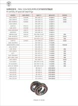 Special Bearings for FK6, 33H, SDS, RPR, ICBT-1