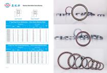Stainless Steel Metric Type Angular Contact Bearing-1