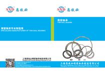 Technical Data Sheet of SXD Angular Contact Ball Bearing-1