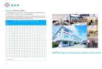 Technical Data Sheet of SXD Angular Contact Ball Bearing-6