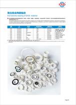ZrO2 Full Ceramic Bearing-1