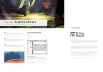 Libellula.FRAMEWORK - 6