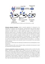 Ultrasonic Nanoparticle Preparation for Pharmaceuticals - 4